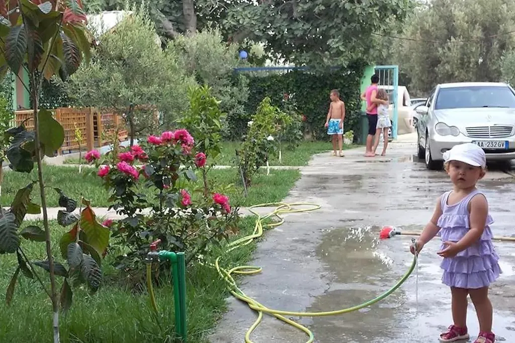 The Olive Grove Villa Borsh 0*,  Albania