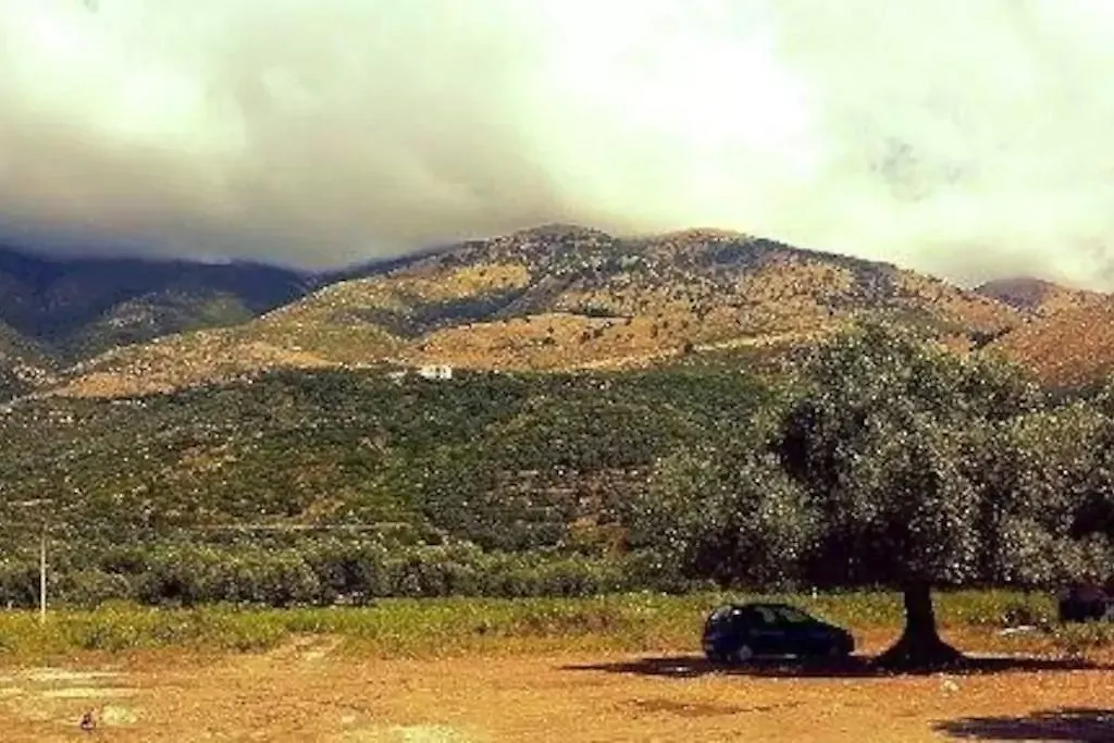 Сasa de vacaciones The Olive Grove Villa Borsh