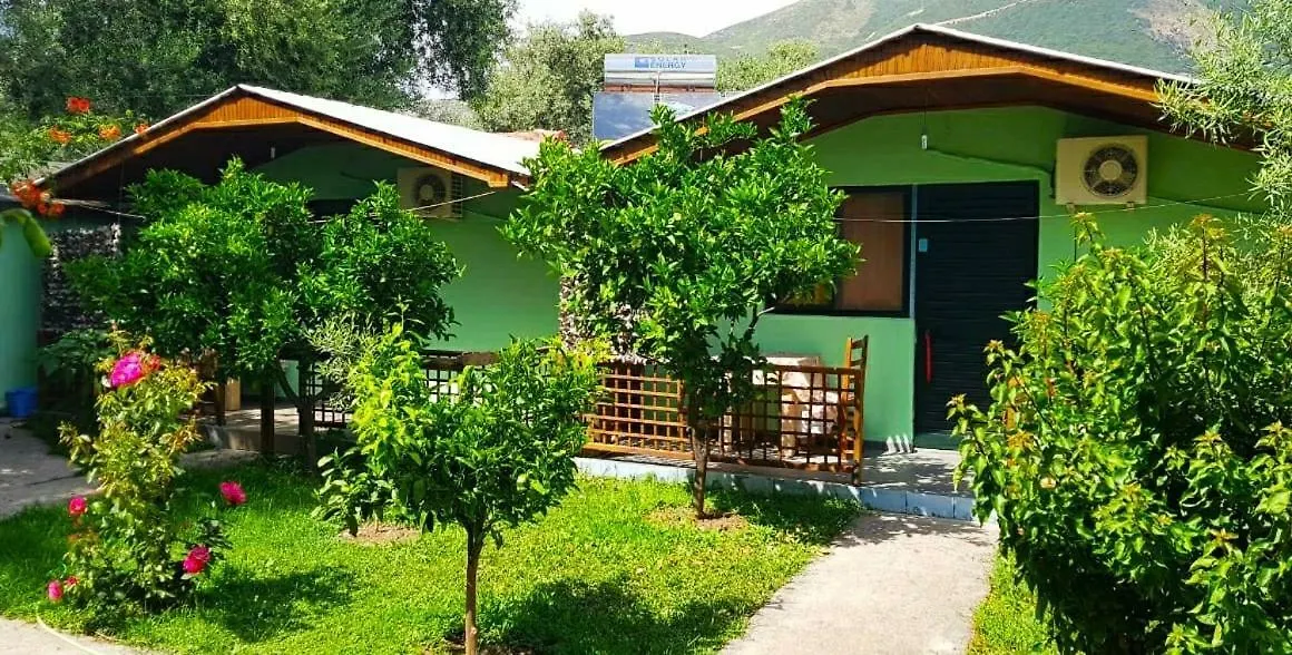 The Olive Grove Villa Borsh Сasa de vacaciones