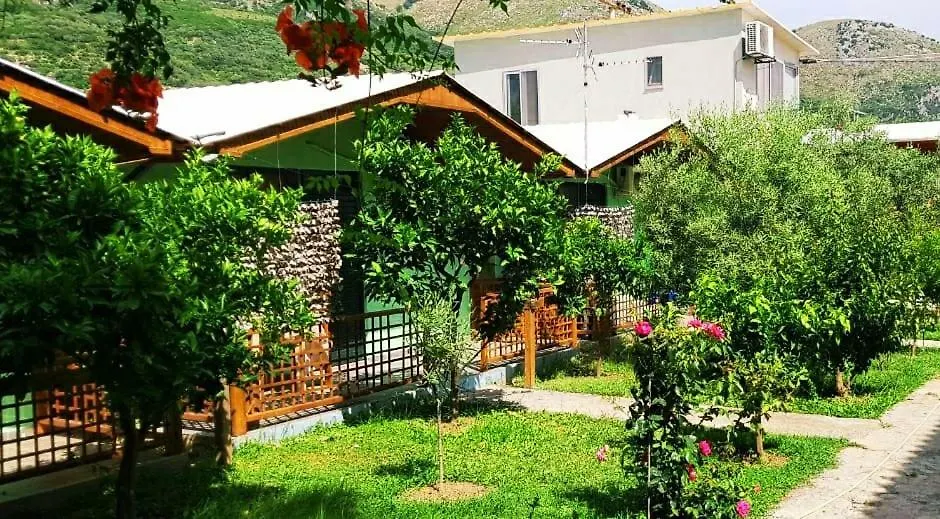 The Olive Grove location