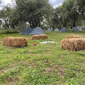  Campo de lujo Cika's Camping
